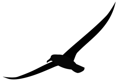 Albatross featured image