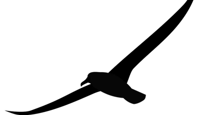 Albatross featured image